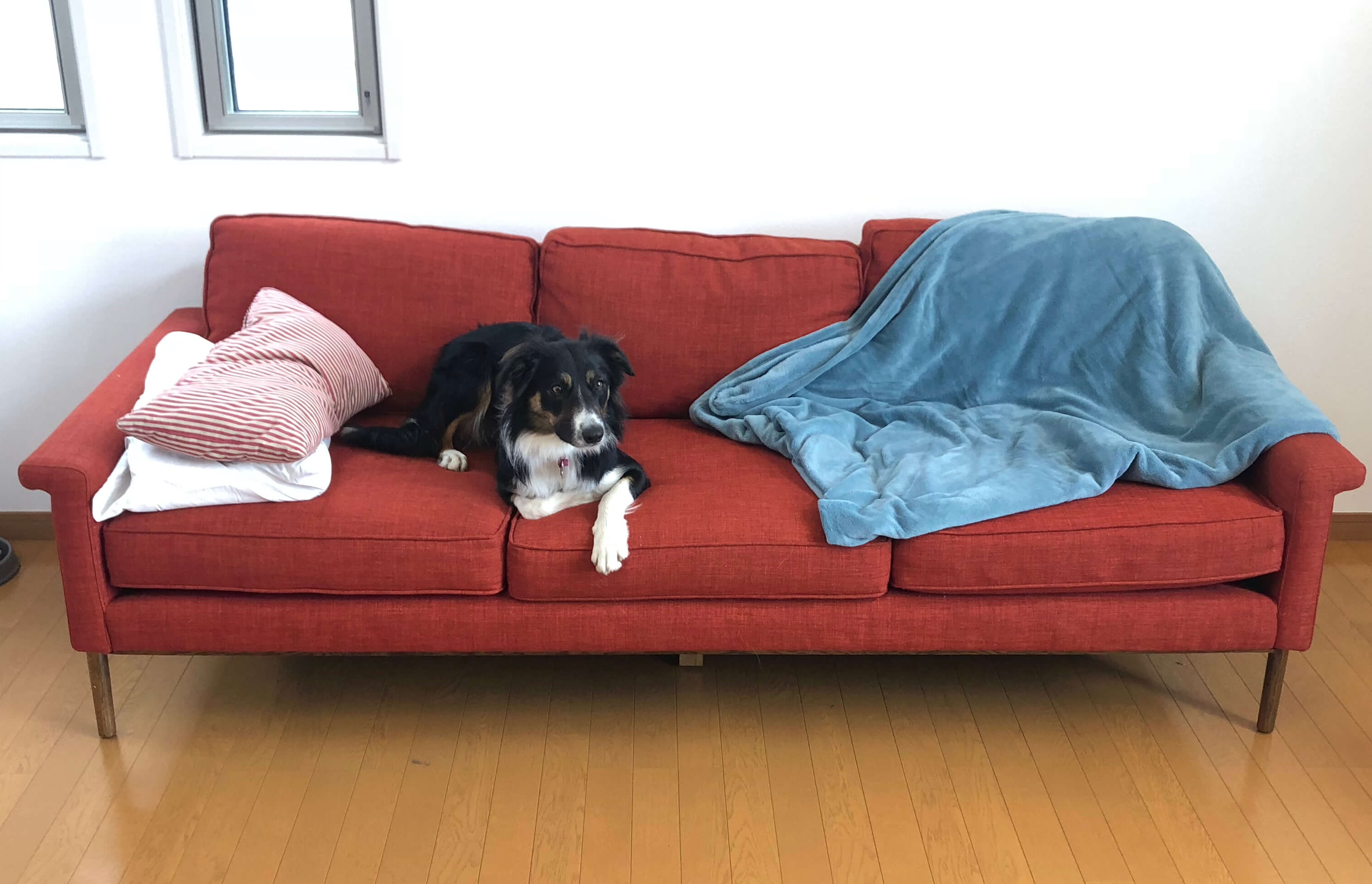 american-couch