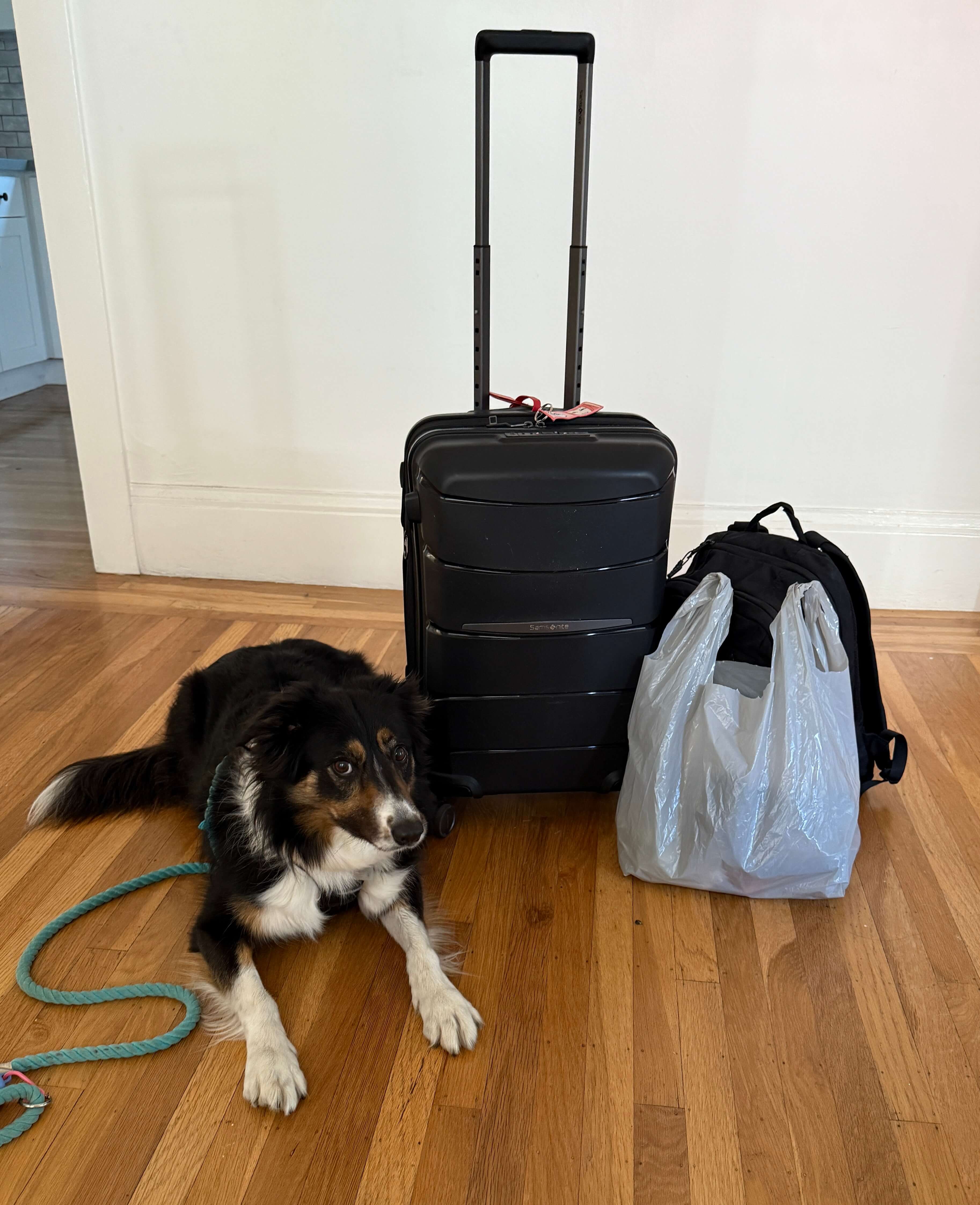 packed