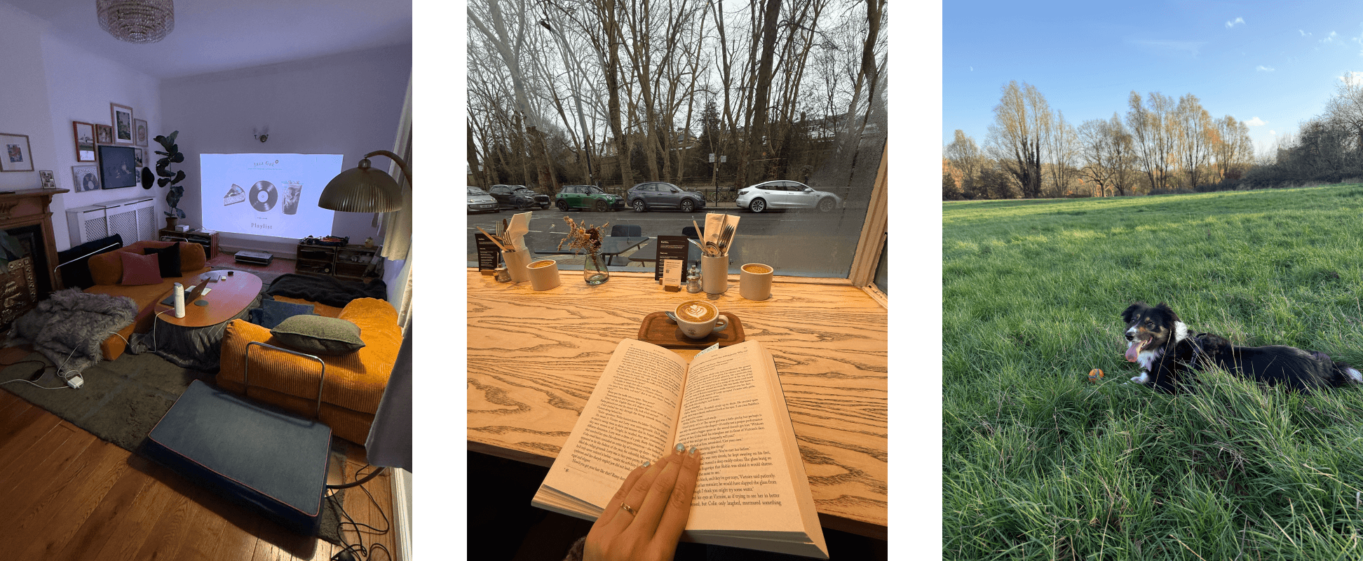 favorite-reading-spots